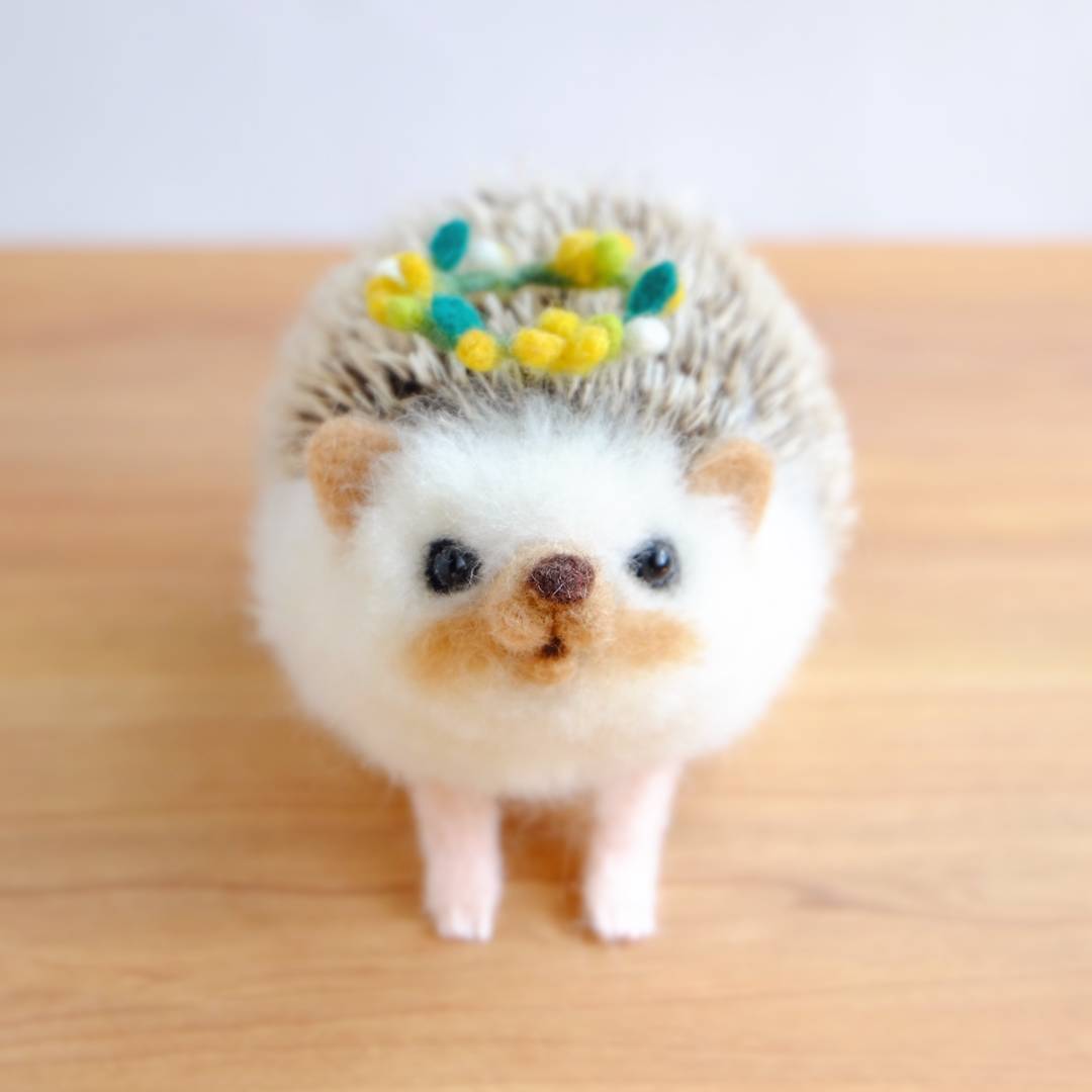 Yucoco Cafe على تويتر ミモザの花冠とベレー帽の作り方も載っています 羊毛ハリネズミさんにもリアルハリネズミさんにも被せてあげてくださいね この2匹は贈り物です 可愛がってもらえますように ほっこり動物とおうちカフェ 羊毛フェルト ハリネズミ