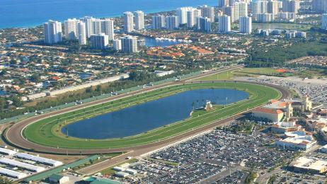 DeportesLN's tweet photo. Huracán Irma. Caballos en peligro: faltan transportes para evacuarlos en Miami, donde ya no hay actividad hípica https://t.co/iegZJVnoSG https://t.co/FFFdfNL6mO