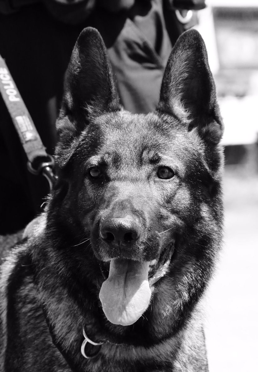 michael jordan twitter