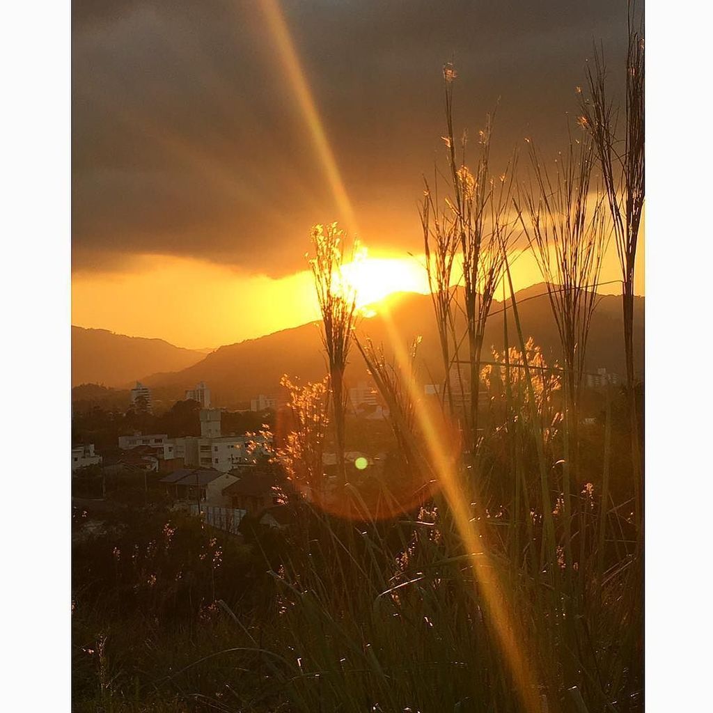 leticiaandressa's tweet photo. 💛 timbó
#viversc #descubrasc #timbo #sc #natureza #pordosol #sunset #sunsetbrasil https://t.co/wgpwtCBtuy https://t.co/OyhwurB8Rl
