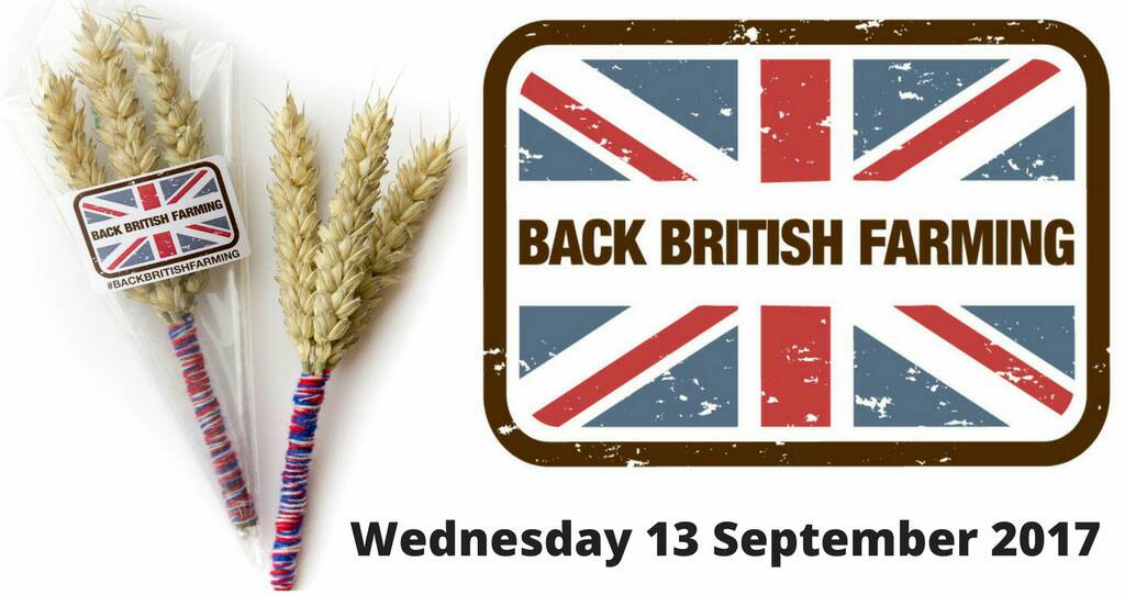NFUtweets's tweet image. RT your MP that #BackBritishFarming day is just around the corner 🚜🐄🐔🐷🐑🍎🌾🍓🍰🚜