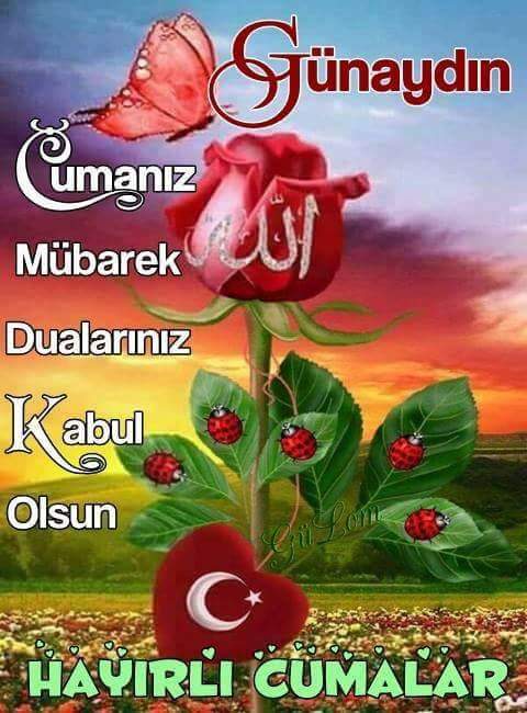 Semih Demirci (@semihde82651974) on Twitter photo 