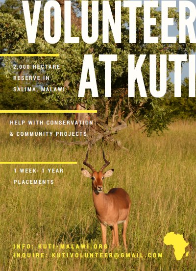 Have a passion for conservation? Want to give back? Join our team of volunteers and make a difference for the future of Malawi!