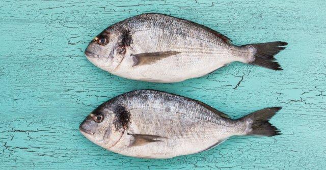 dcstechltd's tweet photo. One lousy click: the phishing blunder that sank an entire product https://t.co/SucJEGk36U https://t.co/Na3uzfJW60