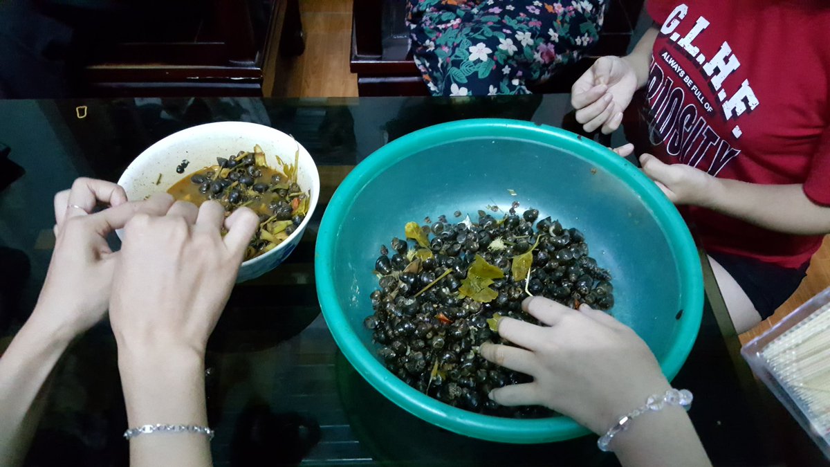 iamtrann's tweet photo. Anh hàng xóm thương các cô nằm nhác không có việc làm nên đem ốc sang chơi :))
#thựctế https://t.co/OLeCloxEp4
