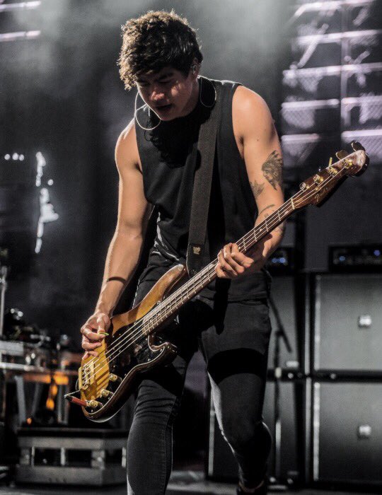 AusSquad5SOS's tweet photo. @5SOS #clearingoutmycameraroll 601-604 https://t.co/3UwF7itOhk