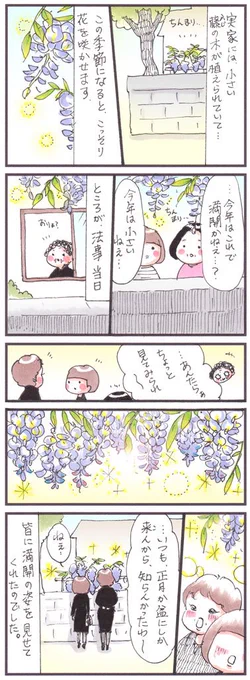 「藤の花」
#法事 #漫画 #四コマ #エッセイ #manga
#2017年5月 #藤の花 #花 
