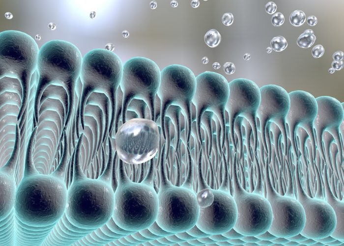 DrugTargetRev's tweet photo. How #receptors for #medicines work inside #cells @Uni_WUE https://t.co/SAQEQWf8YM RT https://t.co/ICMxSQW0LQ