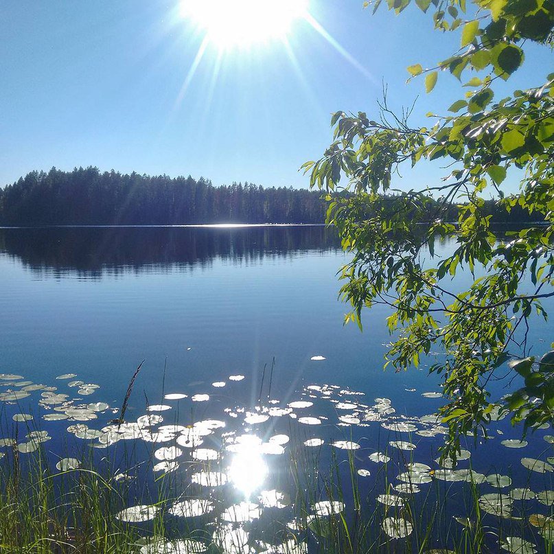 Good morning🌞
  HappyFriday🍃💦