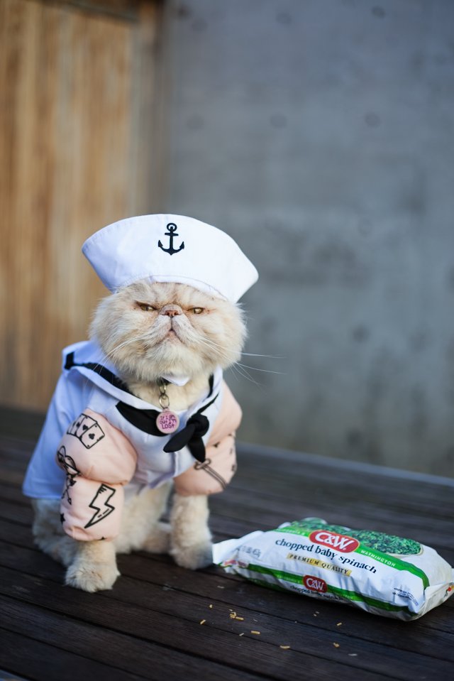 Lisa Boyle tweet media