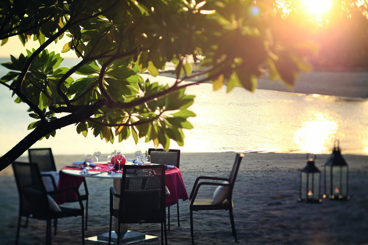 RobertMarkSaf's tweet photo. Feel the sand between your toes whilst enjoying the finest cuisines. #Mauritius #Travel #holidays #Heritageledelfair #Ginjarestaurant https://t.co/Pn6IYi8DHm