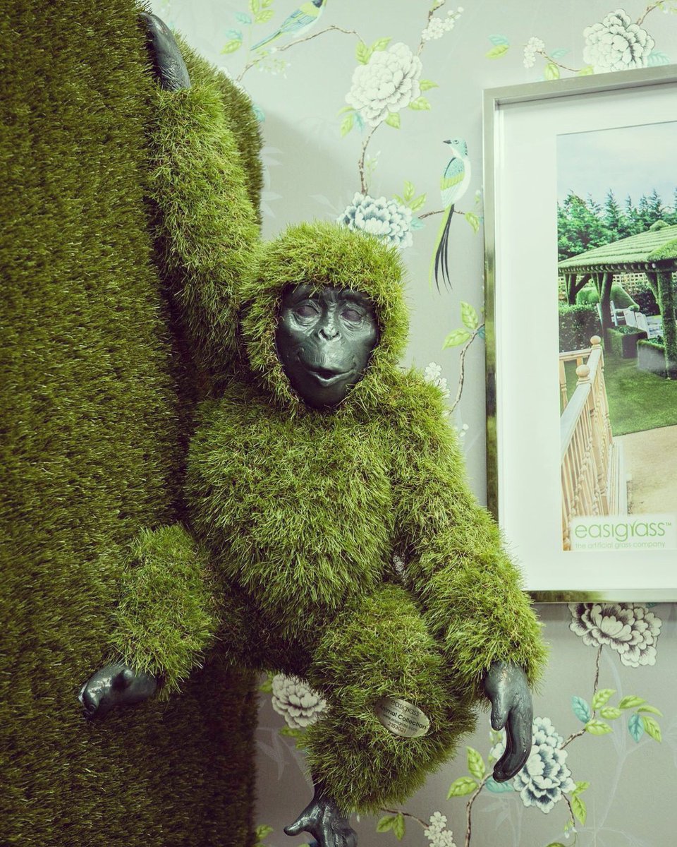 Easigrass's tweet photo. Come and say Hi to us today at the Boutique! We are just hanging around with our monkey friend! #monkey #boutique #retail #grassanimals https://t.co/SRrPPvXwVA