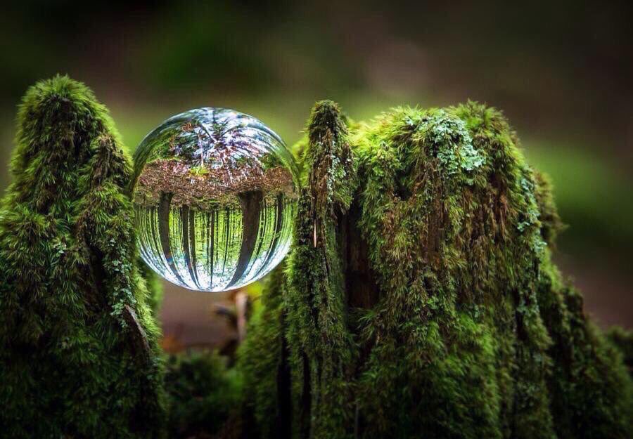 PardueSuzanne's tweet photo. Look deep into nature and
then you will understand
everything better...

- Albert Einstein https://t.co/Ax8swWgcwR