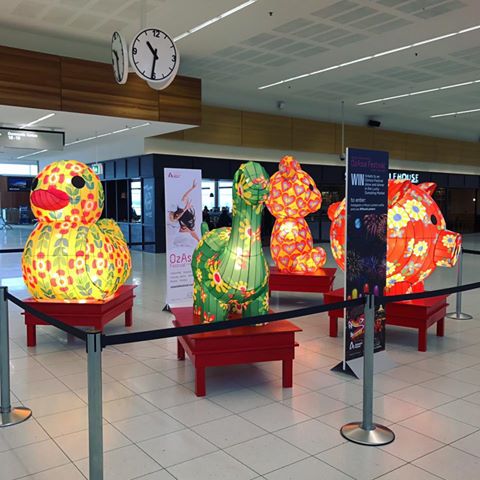 AdelaideAirport's tweet photo. WIN with @OzAsiaFestival! Share a selfie on Instagram with the display at #Adelaide Airport using #MoonLantern: https://t.co/ifku8JQHAx https://t.co/pLBdjbt8Pj