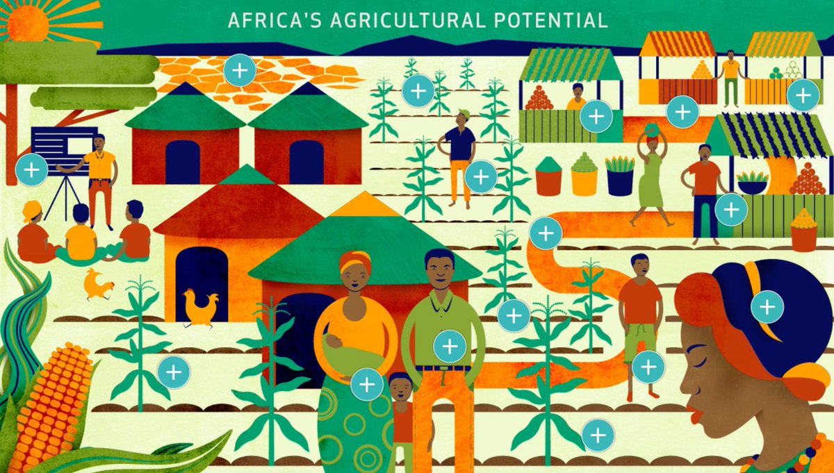 farmingfirst's tweet photo. Don't underestimate the potential of African #agriculture. Explore our whole infographic: https://t.co/XpBcjhgZMZ #AGRF2017 https://t.co/888qEmTz0v