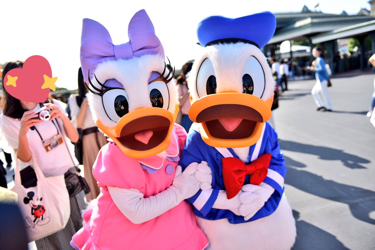 千佳 Disney Photo V Twitter ドナデジ今日もラブラブ ちゅーをねだるドナルド ディズニーランド キャラグリ ドナデジ ドナルド デイジー ラブラブ ちゅー かわいい ディズニー好きな人と繋がりたい