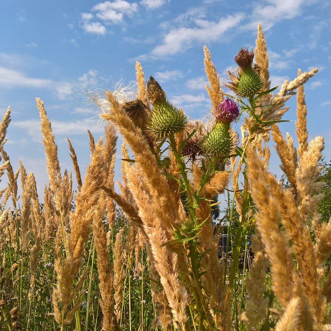 Гаврикова Ольга (@OlgaGavrikova) | Twitter