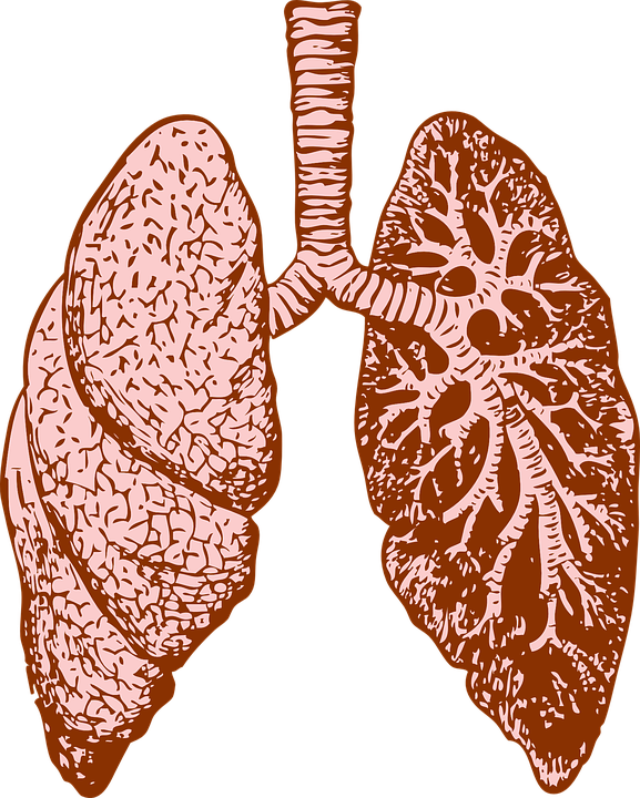 Farma_MR's tweet photo. La Fibrosis Quística afecta principalmente a los sistemas respiratorio y digestivo #DíaMundialdelaFibrosisQuística https://t.co/TwmAQuWPEq