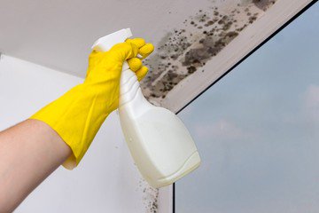 Humetek's tweet photo. Deja los parches y los remedios caseros a un lado y opta por la solución más profesional, la que te ofrecen los tratamientos de #Humetek https://t.co/2EKY9cIkyz