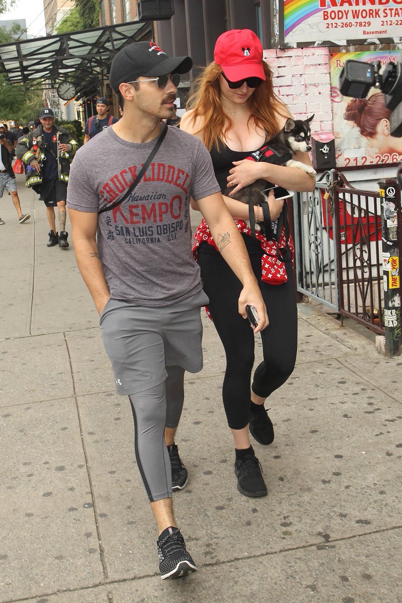 GameOfThroneFR's tweet photo. Sophie Turner et Joe Jonas ont adopté un bébé husky qu'ils ont nommé Porky. https://t.co/znCfcg8fFJ