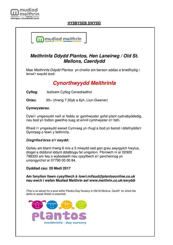 Meithrin Abertawe tweet media