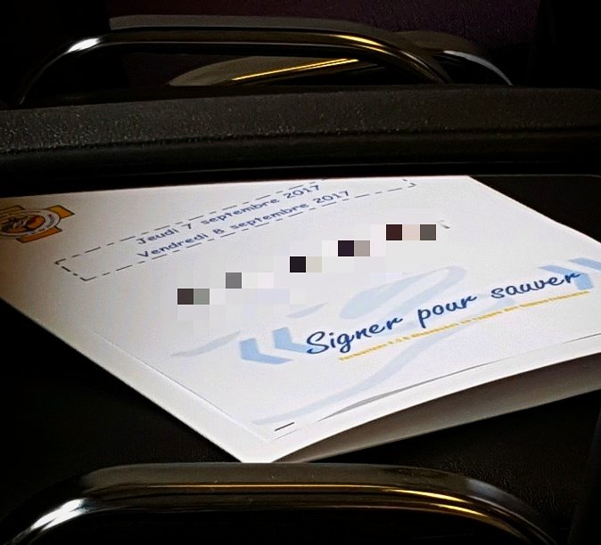 sffss44 tweet media