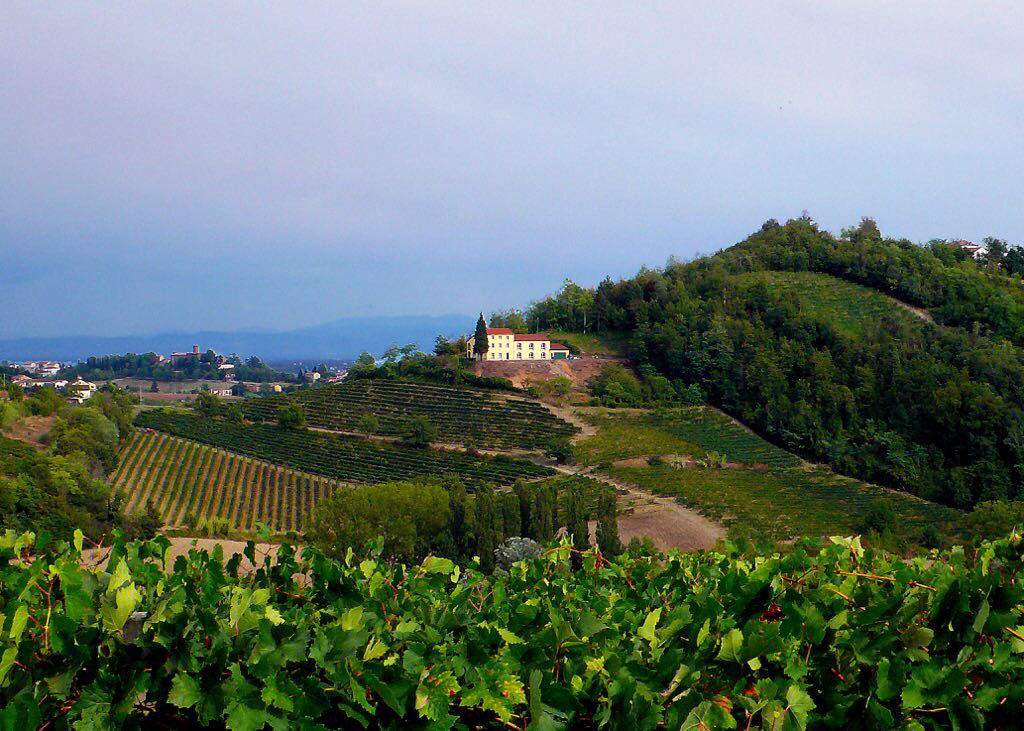 hellasfarm's tweet image. Villa Rocco coming soon Relais B&amp;amp;B Gastropub #Piemonte #Monferratohills