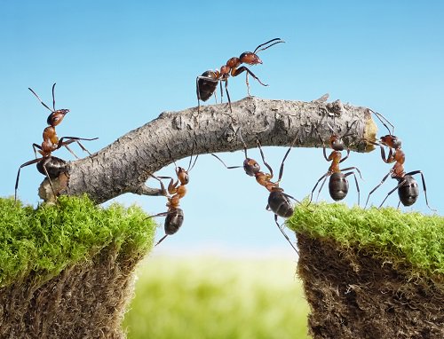 Agile Working &amp; Productivity - Help your business thrive in the current challenging environment: ow.ly/DNfh30f0n7h