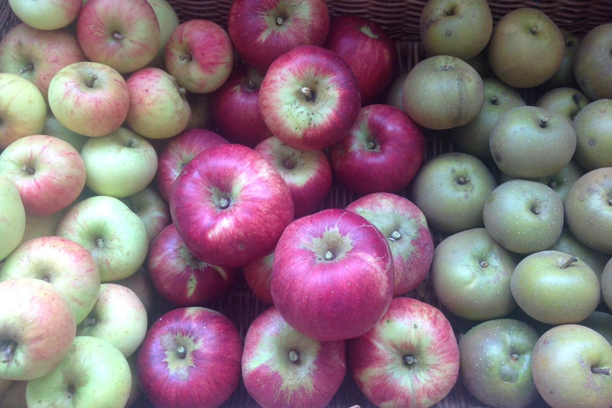 grocer_on_green's tweet photo. #OrganicSeptember fantastic #Local #Organic apples from @shillorganics to snack on or for those delicious home bakes! #GoLocalOrGoHome 🍎🍏😋👍 https://t.co/6KOYnUXNfm