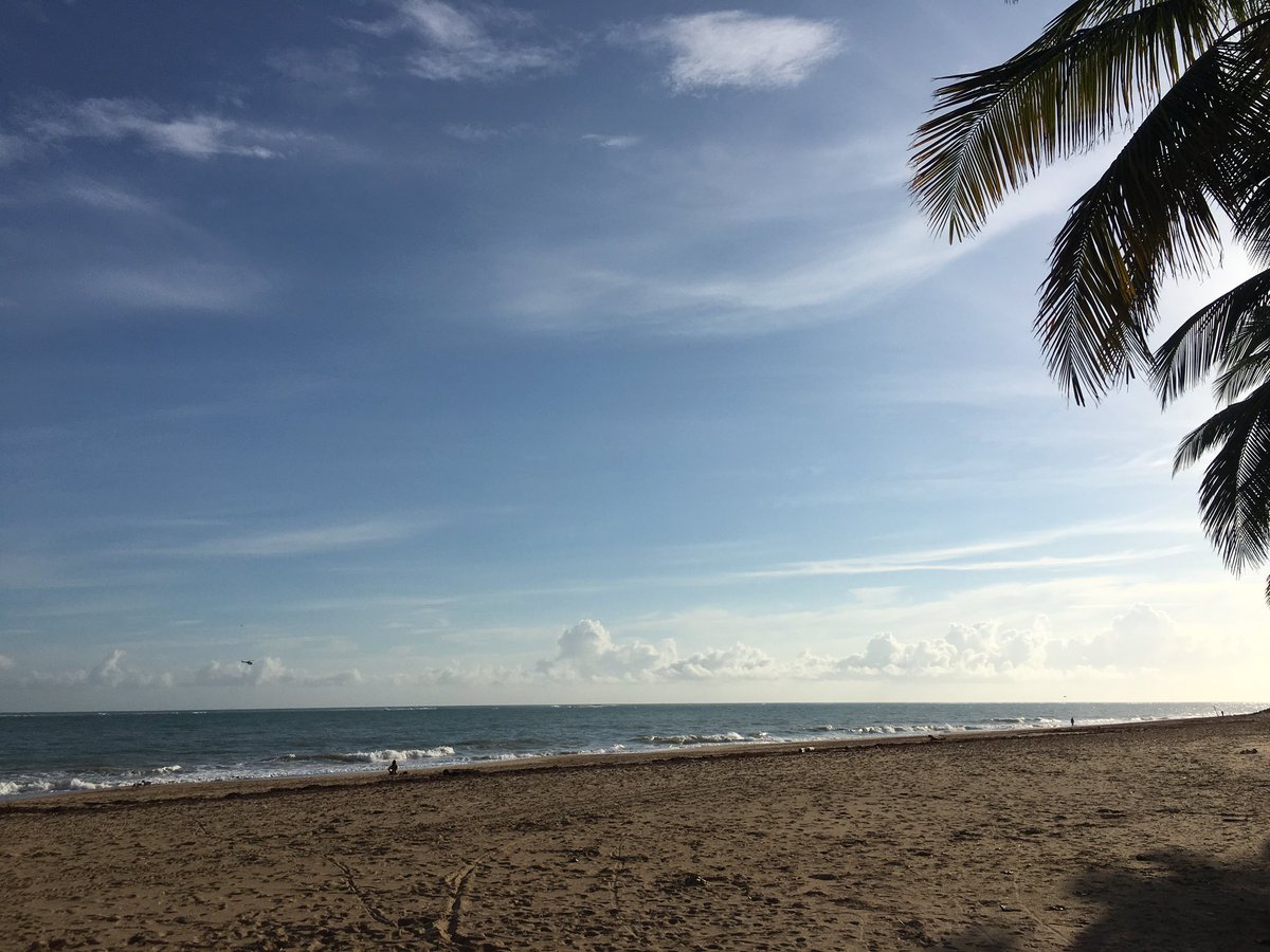 JoseABNolla's tweet image. Great Day! Up early to work to #MovePRForward emergency power, solar panels, water reservoir. #hurricaneready @NPC_PR_Lawyers