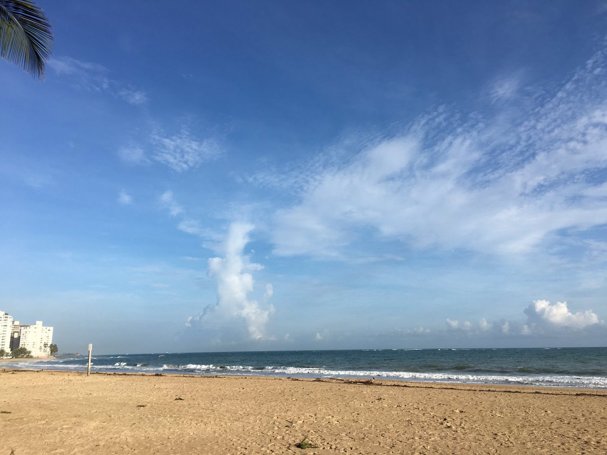 JoseABNolla's tweet image. Great Day! Up early to work to #MovePRForward emergency power, solar panels, water reservoir. #hurricaneready @NPC_PR_Lawyers