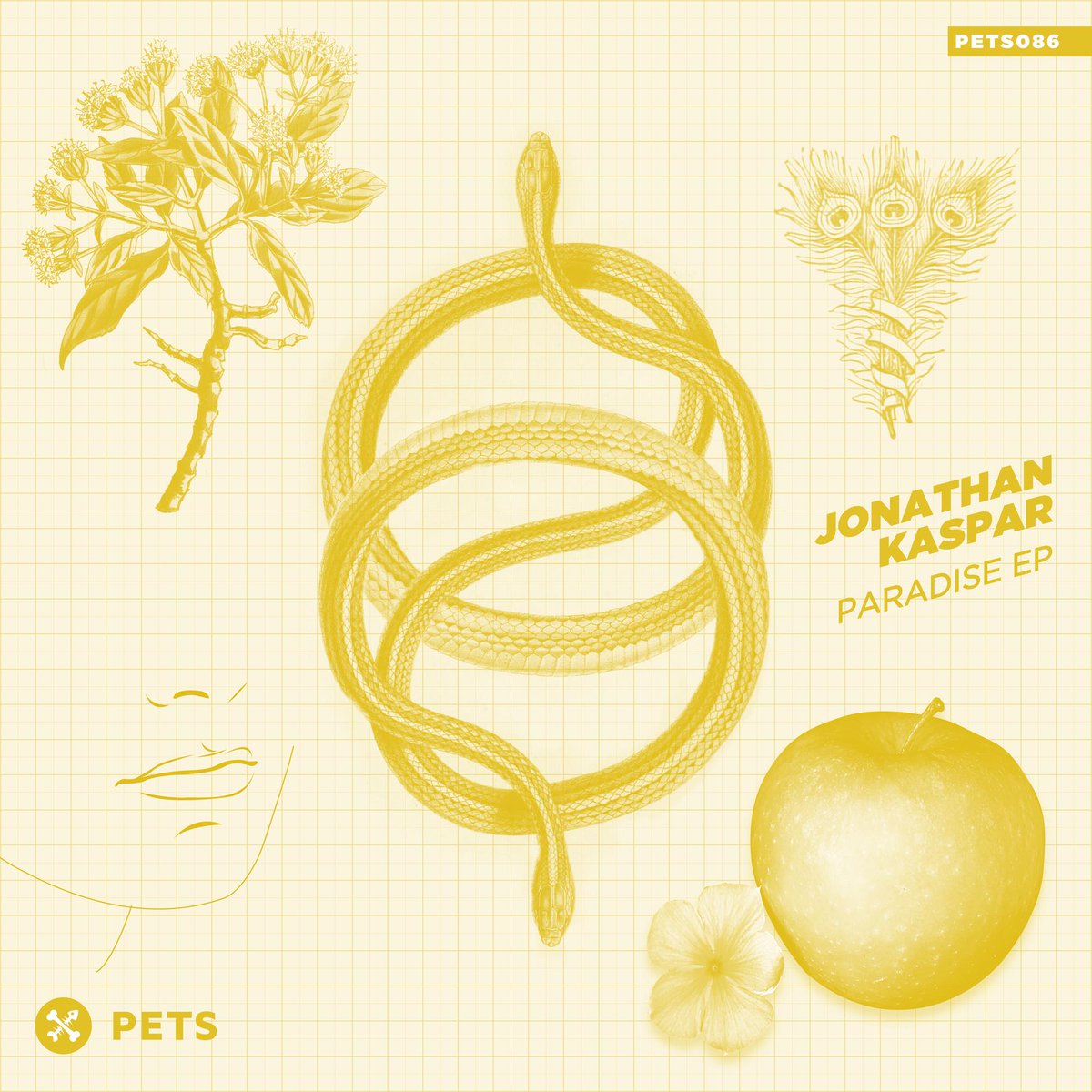 Riding high with his Objektivity single, @Jonathan_Kaspar readies his new release for @PetsRecordings . Wonky stuff! Promo is LIVE!!