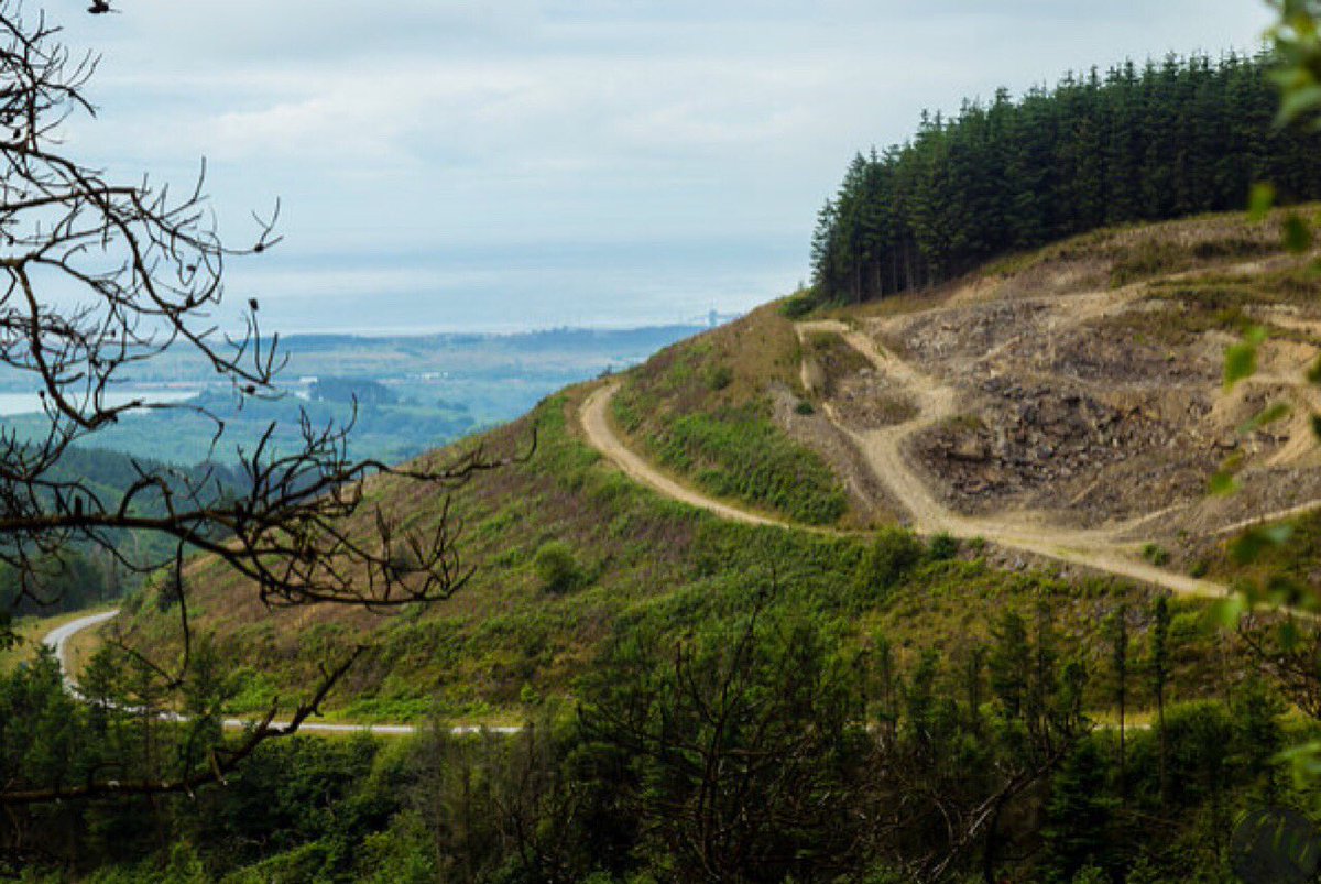 keepactiveswan's tweet photo. ⚠️ The 2018 Hoka One One Winter Trail has less than 150 places left! You can sign up now @ https://t.co/P7Wy7LxssS https://t.co/gf8WLHevZ4