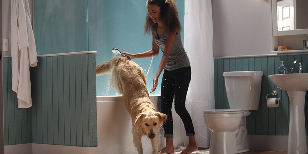 deltafaucet's tweet image. Designing a home that is fit for a family’s favorite fur baby. #DeltaInspiredPro dlta.co/qWgi30eExTg