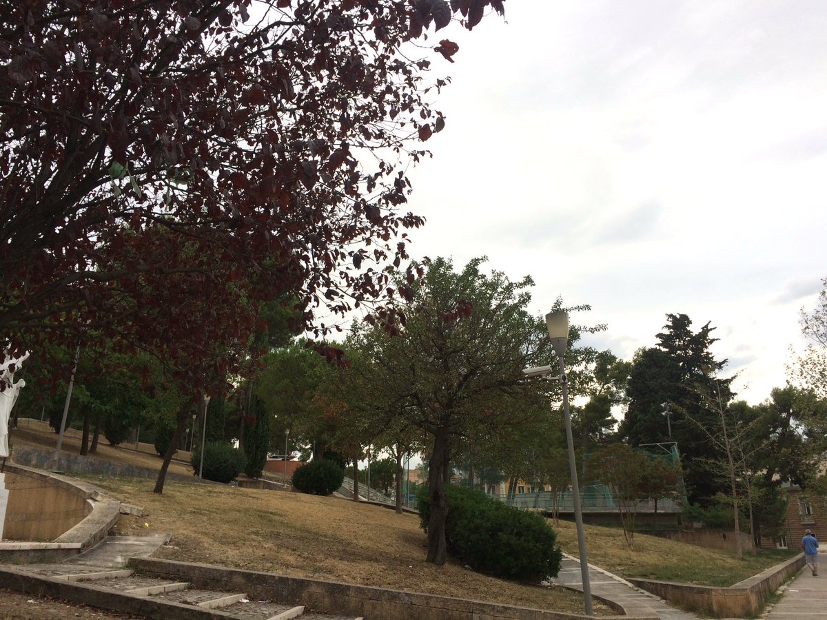 FioriConLeSp's tweet photo. #wowbas #Cgilbas area verde accessibile con buona visibilità e con assenza di barriere architettoniche https://t.co/0wmPhR6SML