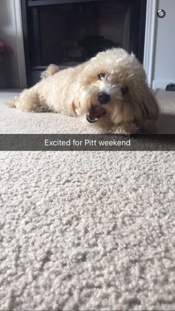 Me, in a single snap. <a href="/cooper_loht/">Cooper Loht</a>