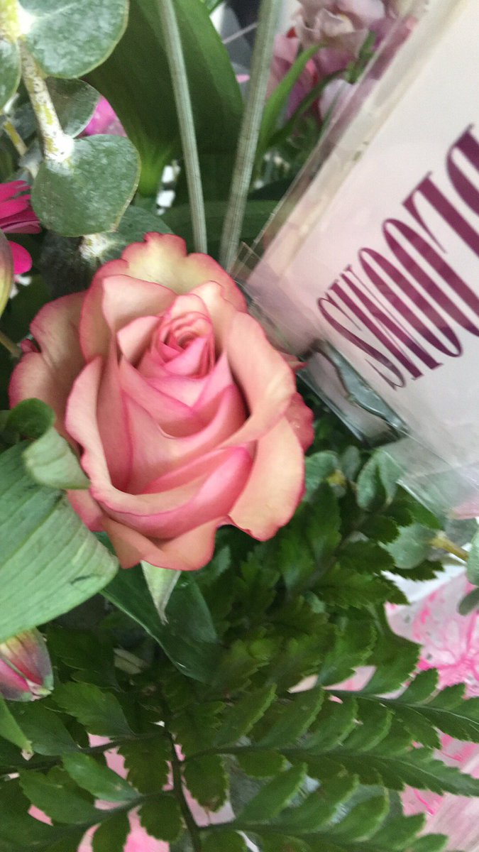 #vintageflowers Love Blooms #Dover #Deal 💗🌸💗🌸💗