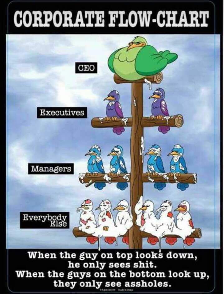 SherpardN's tweet image. 