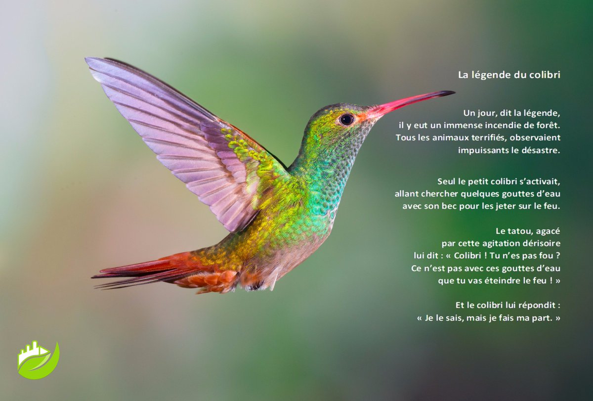 EcoGreenEnergy on Twitter "Notre MESSAGE ! "JE LE SAIS EcoGreenEnergy on Twitter "Notre MESSAGE ! "JE LE SAIS