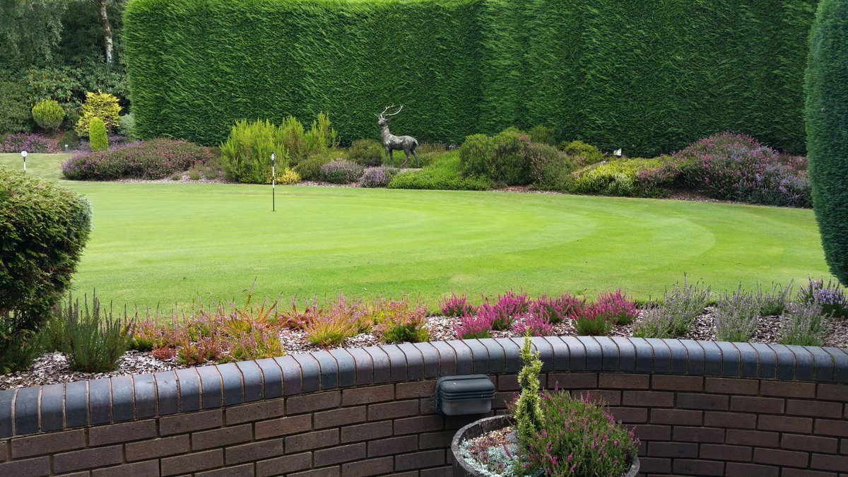 BDcourseupdate's tweet image. New heathers around putting green looking nice!
