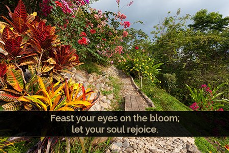ArenalHills's tweet photo. Costa Rica's flora is one of the most beautiful and diverse in the world. Visit #CostaRica to feast your eyes on the burst of color. https://t.co/6eMfV7tCkf