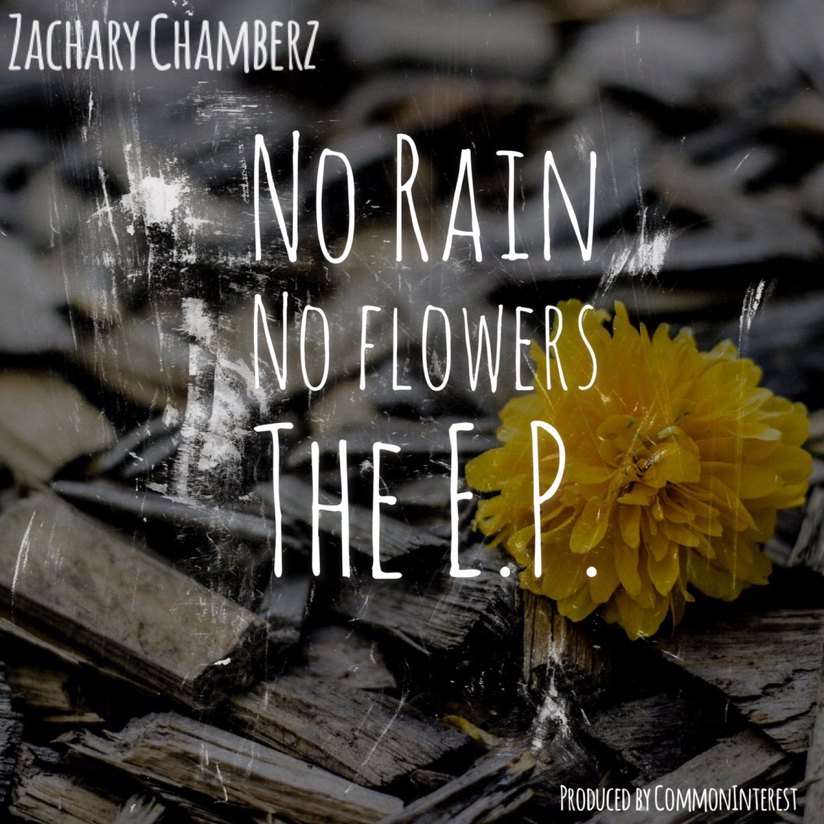 ZacharyChamberz's tweet image. My first project #NoRainNoFlowers the EP will be dropping next week Friday (hopefully lol) 09/15/17