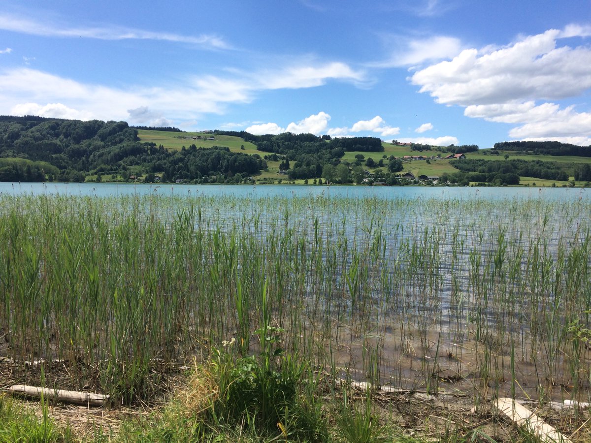 SK_Language's tweet image. Summer in Austria is short but beautiful. #austria #travel