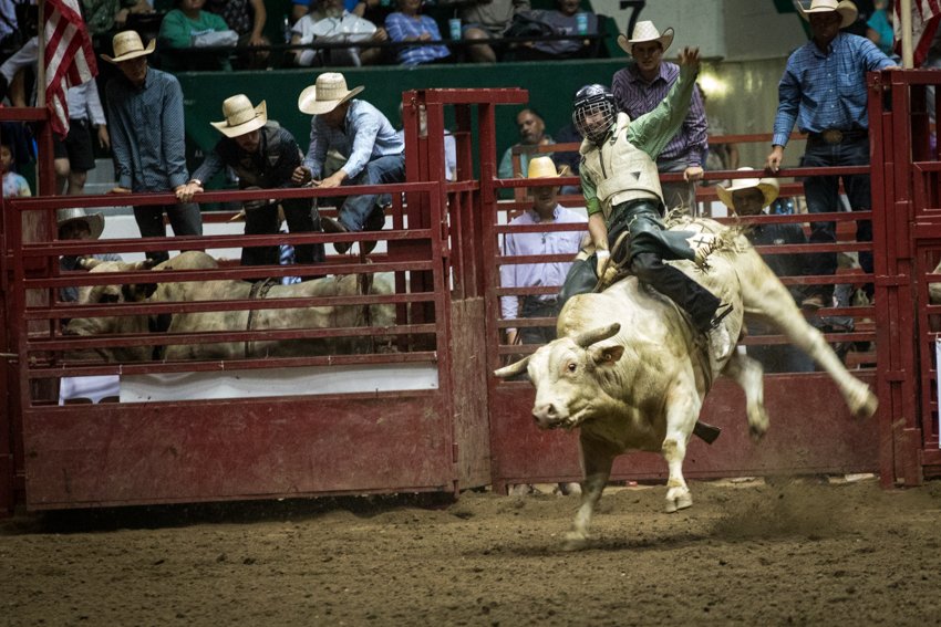Minnesota State Fair tweet media