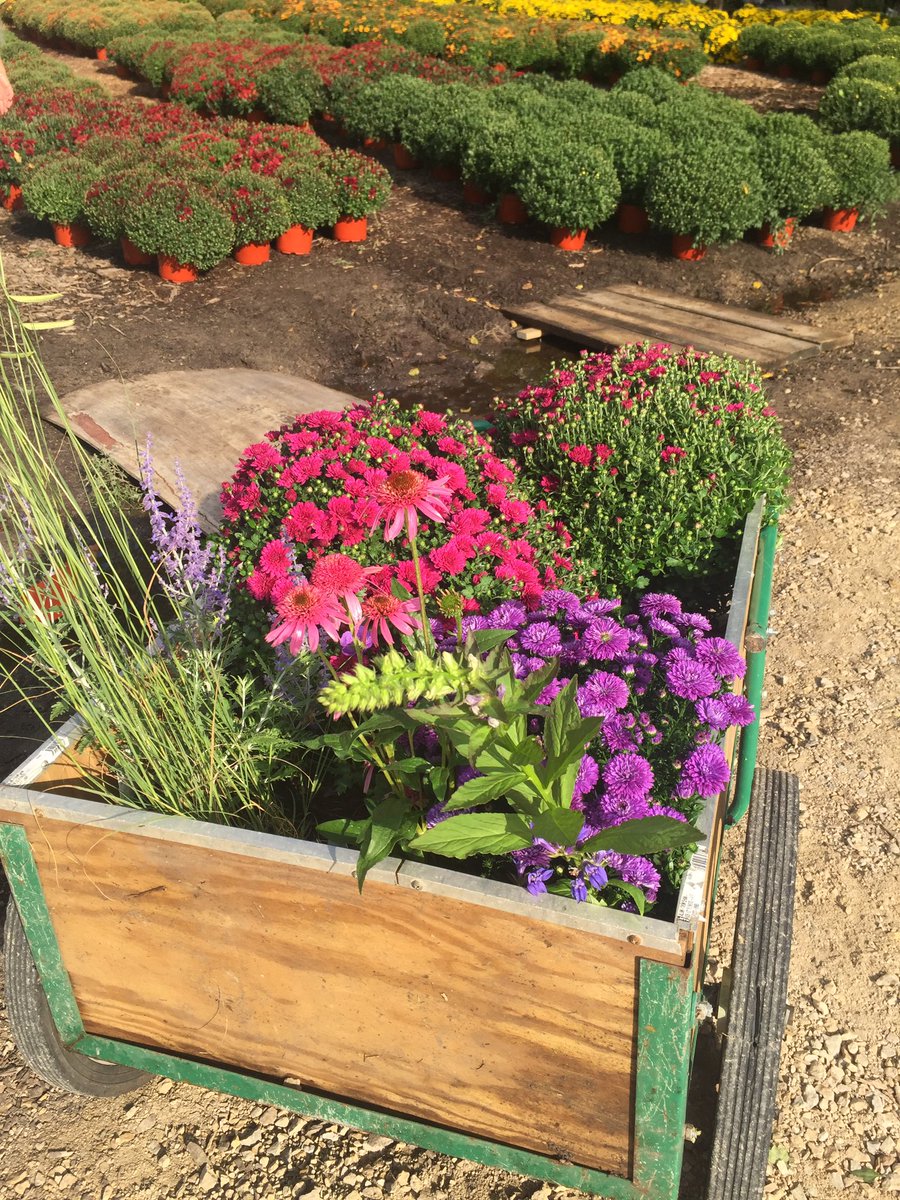 RotaryGardensWI's tweet photo. The #FallPlantSale has begun! The sale is open 9 am to 6 pm, Friday - Sunday. See you there! #Janesville #Wisconsin https://t.co/TkVDrV6Wmo