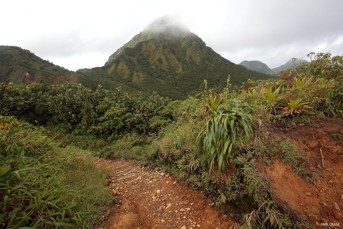 Atop Morne Nichols on the Boiling Lake Trail. Morne Watt volcano beyond.