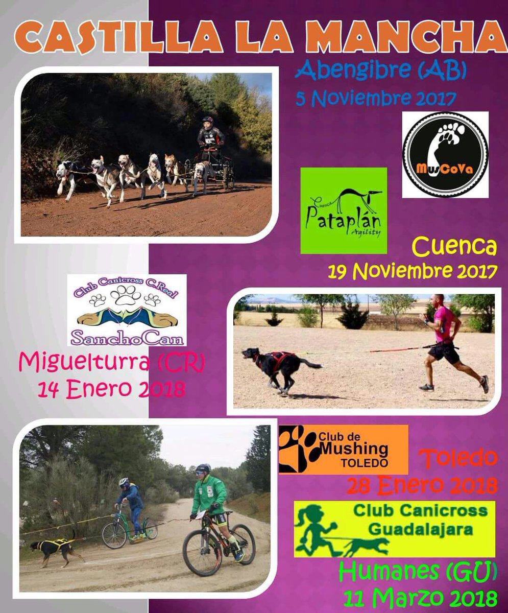 CSanchocan's tweet photo. Tras mucho esfuerzo, mucho trabajo y mucha mucha ilusión, ya está aquí la I LIGA DE MUSHING DE CASTILLA LA MANCHA...!!! Os esperamos a todos https://t.co/O6omODwFoc