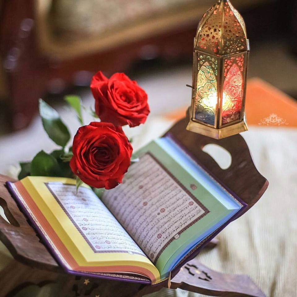 al_7712's tweet photo. حين تذهب إلي اللَّه مكسُور الجناحيّن ، ستعود مُحلِقاً .❤
التضرع لله اخلاق واسلوب ! https://t.co/mSMvDIxaMP