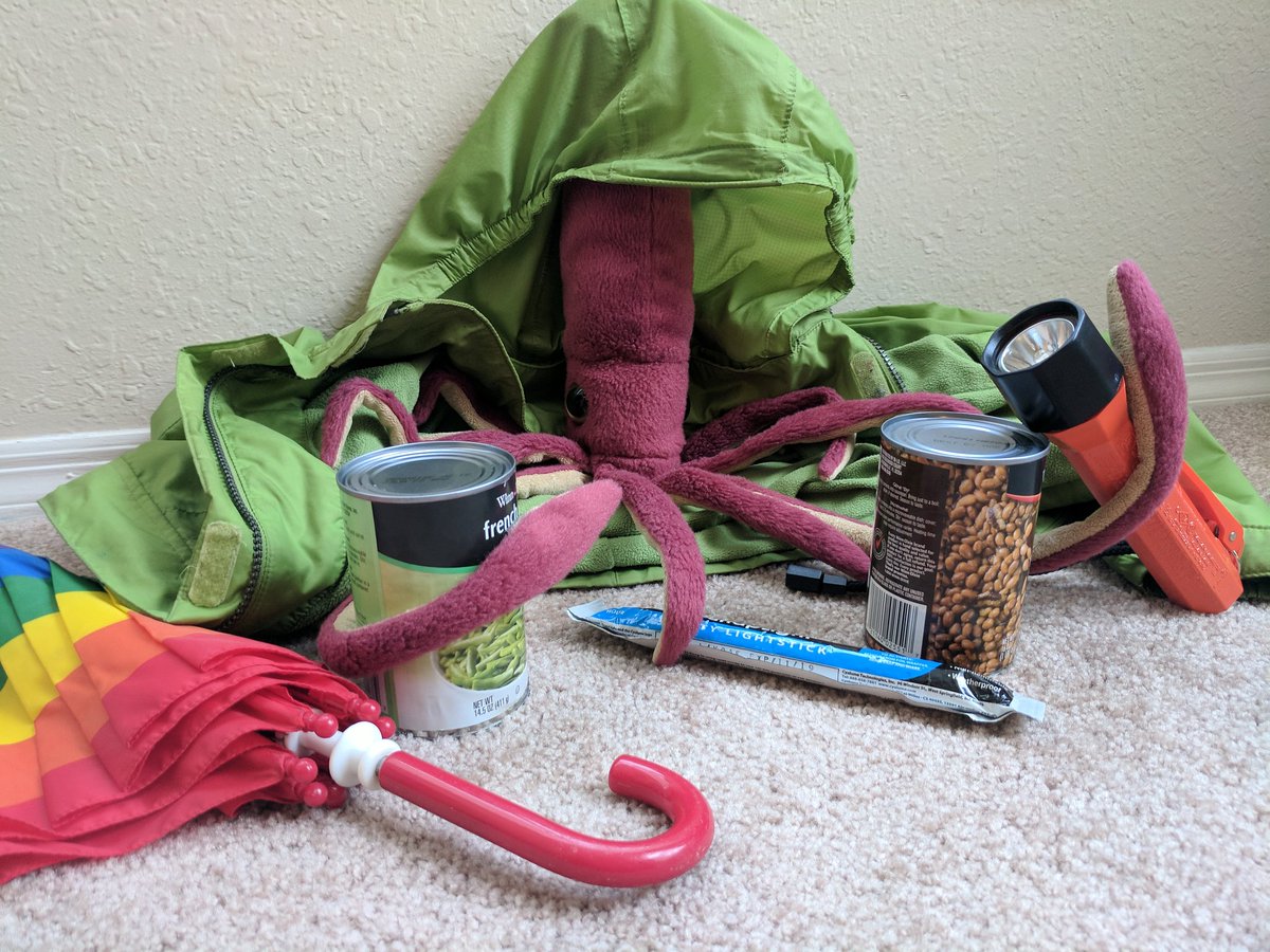 SquidMeets's tweet photo. Squid prepares for a hurricane. #squudmeetsworld #IrmaHurricane2017 #Florida #abouttogetabitwindy #squid https://t.co/hQ8N2mdXun