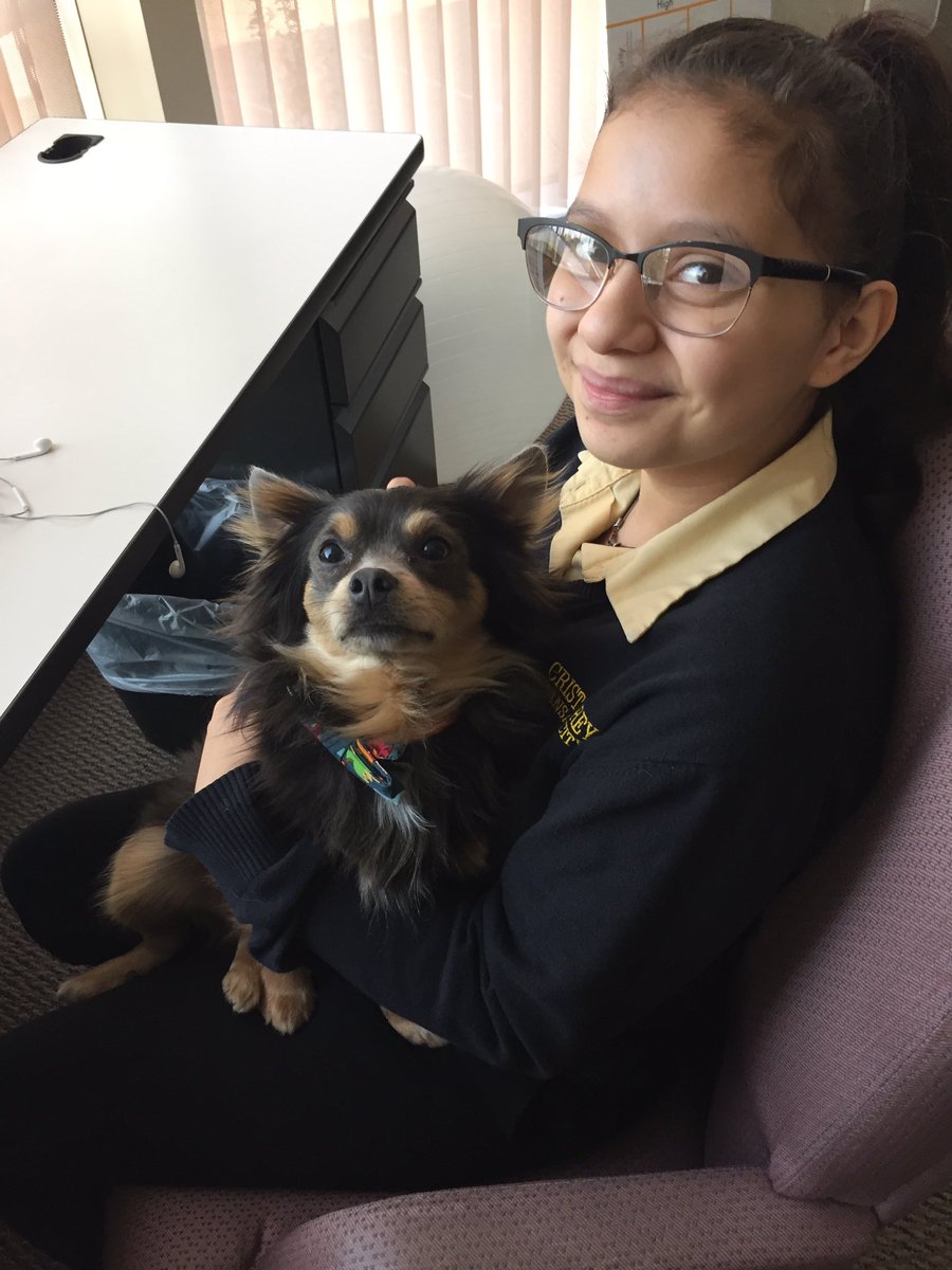 LumenTouch's tweet photo. Interns and Calvin working hard today! #BrightINTERNS #OfficeMascot https://t.co/ktCdFCYZFc